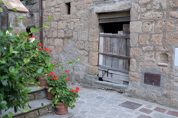 Fototapeta na wymiar Plentiful, isolated red flower pots in the courtyard in front of an ancient building wall. Old wooden door in an abandoned building.
