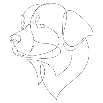 Continuous line Bernese Mountain Dog. Single line minimal style dog vector illustration. Portrait
