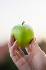 Green apple kept in your hand on a blurred background (selective focus)