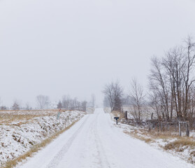 Obraz na płótnie Canvas Straight snowy road through the Amish countryside in Holmes County, Ohio