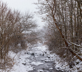 Rocky snow covered creek in the winter surrounded by bare trees