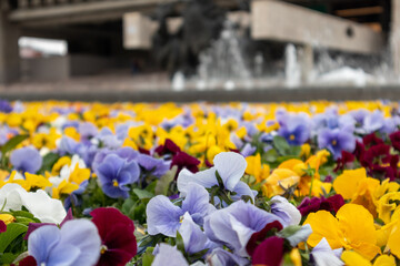 Fototapety na wymiar - Fototapeta24.pl