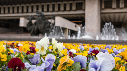 Fototapety na wymiar - Fototapeta24.pl