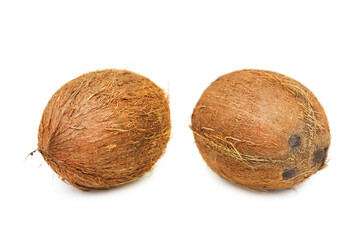 Coconuts whole isolated on white background. Clipping path.