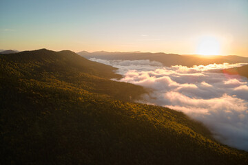 Aerial view of amazing scenery with foggy dark mountain forest pine trees at autumn sunrise. Beautiful wild woodland with shining rays of light at dawn