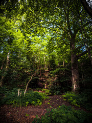 Obraz premium The Hill On The Mountain- Göteborg, Sweden