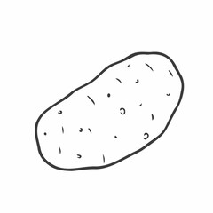 Potato tuber. Vector. Outline drawing of a vegetable on a white background. Sketch. Drawing marker on paper. Isolated object.