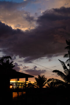 sunset with silhouette of wax palms in salento quindio colombia. vertical photo