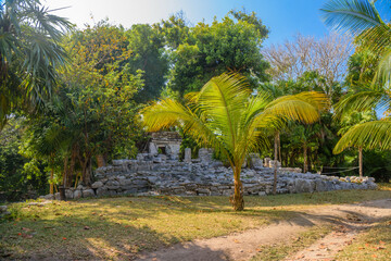 Obraz premium Playacar Mayan ruins in the forest park in Playa del Carmen, Yucatan, Mexico