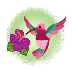 hummingbird and flower