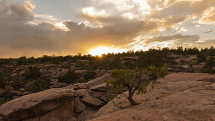The setting sun sends a burst of light across the landscape and makes the clouds glow golden just before it dips below the pinyon and juniper trees growing in this rugged rocky southwest desert scene.