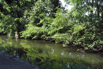 The canal has green bushes that reflect in the water.
