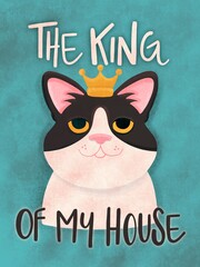 birthday card with cat