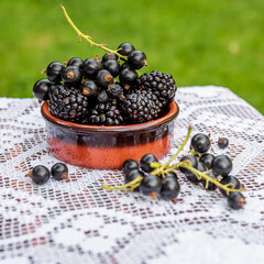 Blackberry and black currant in ceramic bowl.