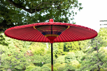 日本庭園 野立て傘