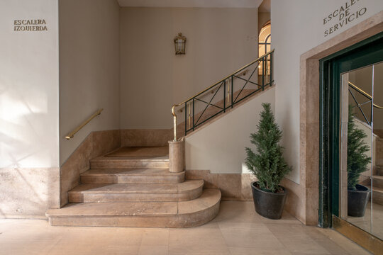 Stairs of a luxury home with marble steps, tree in a pot and gold metal railing