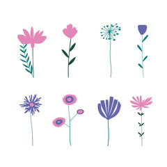 Set of vector flowers and plants. Botanical design elements. 