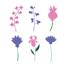 Set of vector flowers and plants. Botanical design elements. 