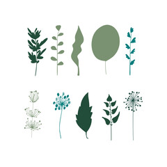 Set of vector leaves and plants. Botanical design elements. 