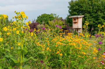 Birdhouse In The Sunflowers