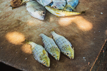 Itapua beach fishermen colony in Vila Velha