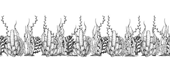 .Underwater life. Hand drawn sketch. Vector illustration. Seaweed and coral, color illustration. Horizontal seamless pattern. Design template. Underwater world hand drawn.