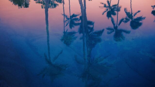 Beautiful sunset on Hawaiian beach, Kauai Island. Tropical sunset over SPA resort pool lagoon with coconut palm tree silhouettes reflecting on the tranquil summer beach water surface island resort