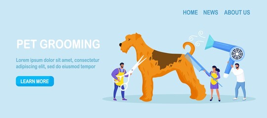 Woman and man caring of pet, cutting and brushing fur, washing. Professional barber grooming dog. Pet haircut, groomer salon