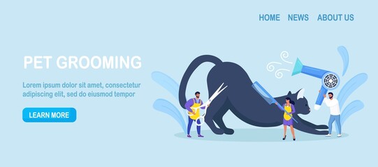 People caring of domestic animals or pets, blow drying, cutting fur, washing. Pet haircut, grooming. Cute cat at groomer salon