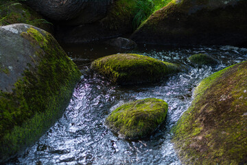 a mountain river with huge stones with green moss.wild forest of taiga.