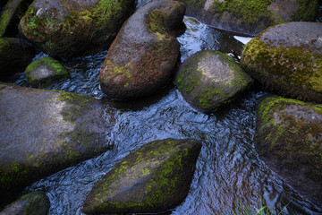 Fototapeta na wymiar a mountain river with huge stones with green moss.wild forest of taiga.