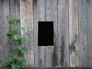 old wooden window