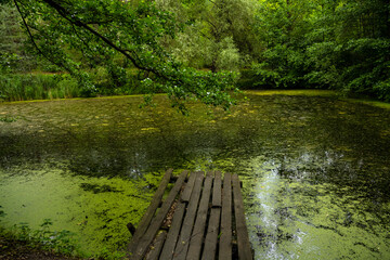 Swamps of Louisiana. Bridge in the swamp.