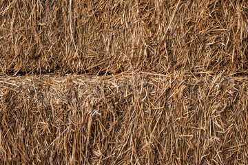 Fototapeta na wymiar texture of tacked Straw Hay Bails