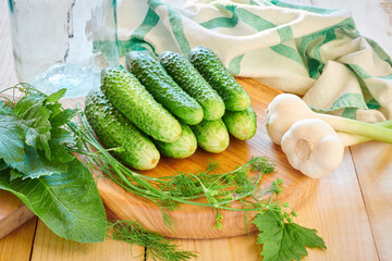 Group of young green small cucumbers on cutting board for pickling. Marinated and canned food. Fresh ripe cucumbers. Cucubmber harvest. Organic detox food. Preparation for canning.