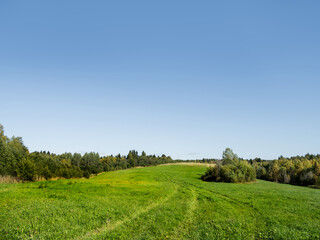 Fototapeta na wymiar Natural summer background with green grass field and clear blue sky. Countryside landscape.