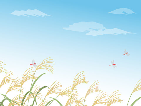 トンボのいる風景 の画像 3 452 件の Stock 写真 ベクターおよびビデオ Adobe Stock