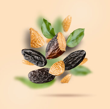 Tonka beans and green leaves float on a beige background. Flying Dipteryx odorata is known as tonka beans for pastry, confectionery business, baking, cooking and flavoring. Modern fly healthy food