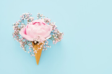 Pink peony and gypsophila in waffle ice cream cone on a blue background. Summer concept.