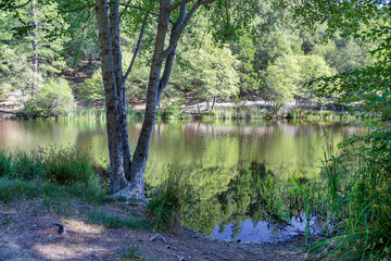 Lake Fulmor shaded area by the water for fishing or having a picnic.