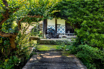 Fototapete bei efototapeten.de bestellen   