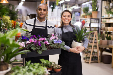 Portrait of flower shop employees with pots of flowers in their hands