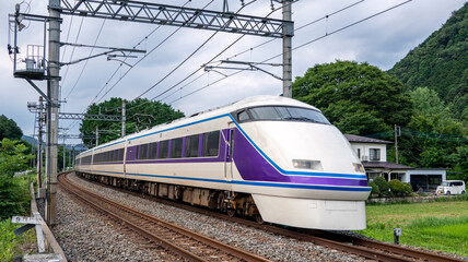 Naklejka premium 日光への特急電車