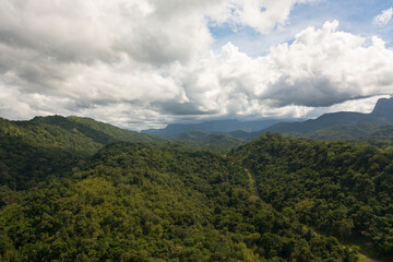 Fototapeta na wymiar Mountains with green forest and mountain valley in Sri Lanka.