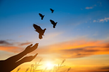 Silhouette hand praying  group of bird flying to the sky freedom and nature at sunset  background with sunlight.