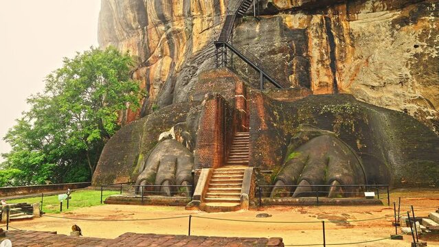 Lion's Paw Terrace on a foggy morning, a Sri Lankan tourist landmark
