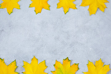 Naklejka na ściany i meble Autumn background frame with yellow leaves at grey concrete table.