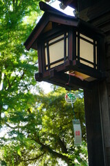 神社の風鈴　佐倉市麻賀多神社