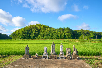 田んぼのお地蔵さん　印西市