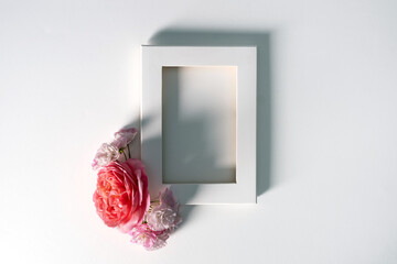 Floral frame of pink flowers on white or pink background. Flat lay, top view. Spring and summer concept. Daisy roses heads frame design. Empty space. Template for a romantic greeting card.